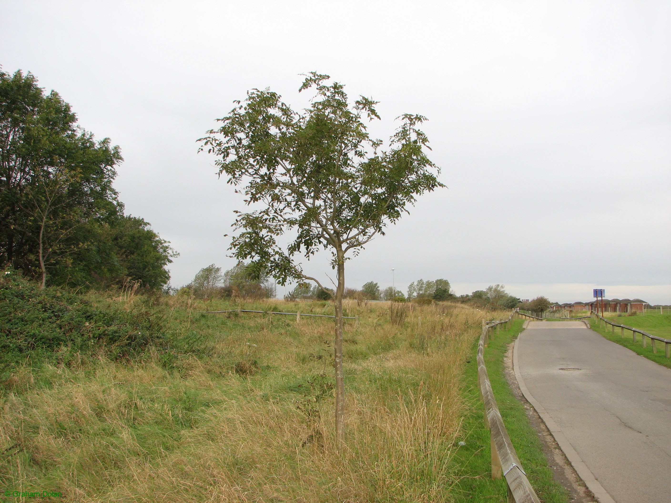 Greenwich Meridian Marker; England; Lincolnshire; Cleethorpes